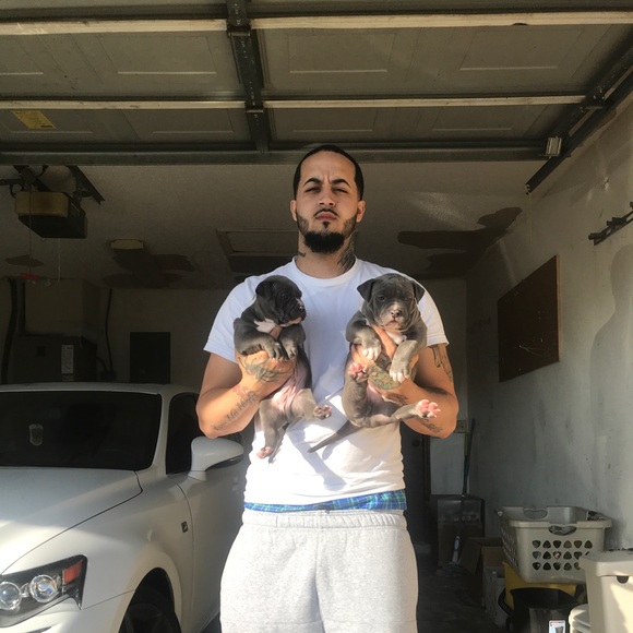 Meet your Posher, Josh - Picture 1 of 4